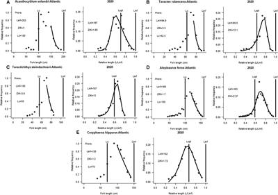 Stock Status Assessments of Five Small Pelagic Species in the Atlantic and Pacific Oceans Using the Length-Based Bayesian Estimation (LBB) Method